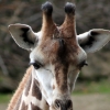 ZOO Zlín 2017 září