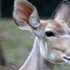 ZOO Zlín 2017 září