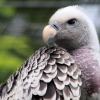 ZOO Zlín 2017 září