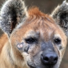 ZOO Zlín 2017 září