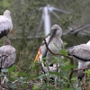 ZOO Zlín 2017 září