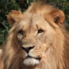 ZOO Zlín 2017 září