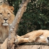 ZOO Zlín 2017 září