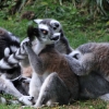 ZOO Zlín 2017 září