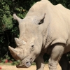 ZOO Zlín 2017 září