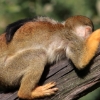 ZOO Zlín 2017 září
