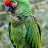 ZOO Zlín 2017 září