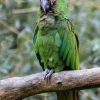 ZOO Zlín 2017 září