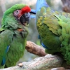 ZOO Zlín 2017 září