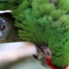 ZOO Zlín 2017 září