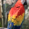 ZOO Zlín 2017 září