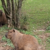 ZOO Zlín 2017 září