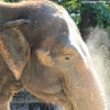 ZOO Liberec 2013 srpen