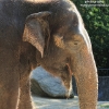 ZOO Liberec 2013 srpen