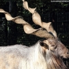 ZOO Liberec 2013 srpen