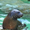 ZOO Liberec 2013 srpen