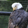 ZOO Liberec 2013 srpen