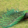 ZOO Vyškov 2011