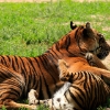 ZOO Praha 2012
