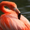 ZOO Praha 2012