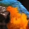 ZOO Praha 2012