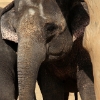ZOO Praha 2012