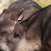 ZOO Praha 2012