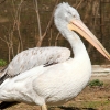ZOO Praha 2012