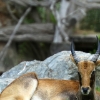 ZOO Praha 2012